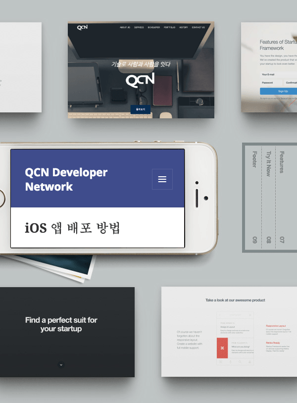 developer